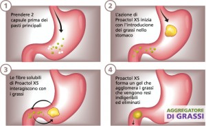 proactol xs come funziona